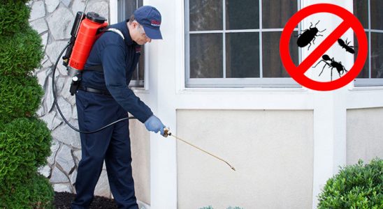 Arnavutköy Hamam Böceği İlaçlama böcek ilaçlama ve haşere kontrolü — ilaclama-tr.com